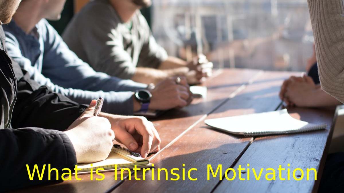 What is Intrinsic Motivation