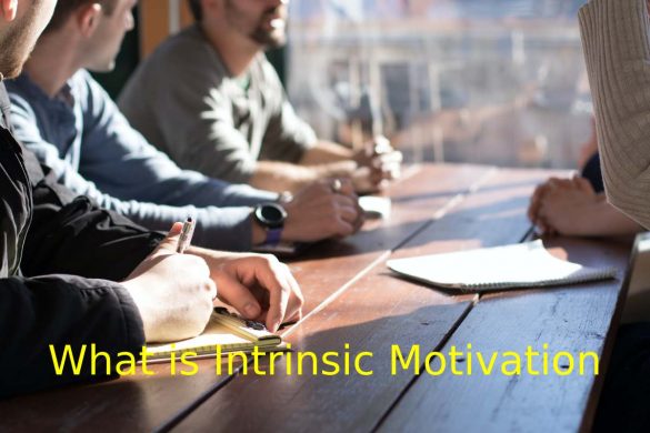 Intrinsic Motivation