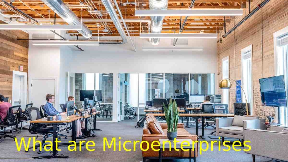 What are Microenterprises