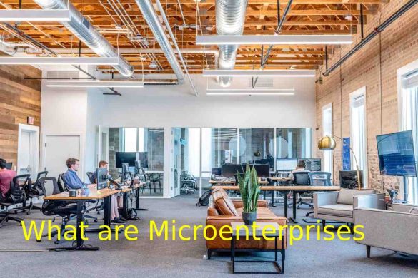 Microenterprises