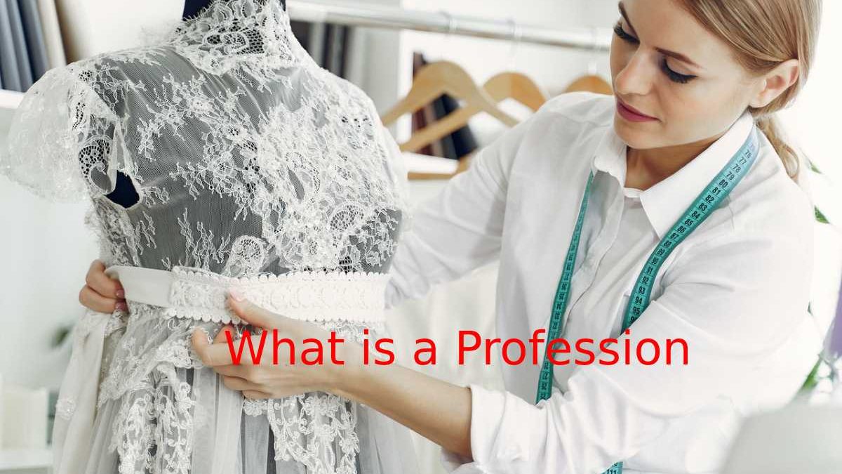 What is a Profession?