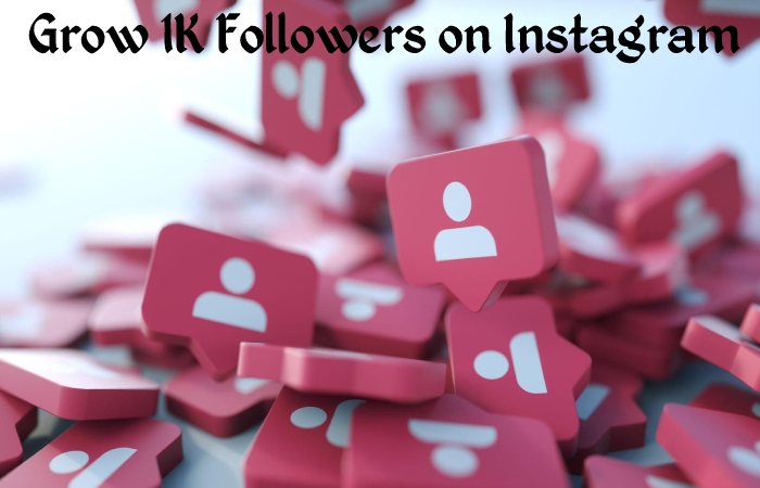 Instagram followers (1)